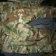 US army HOT WEATHER IHWCU blůzy kalhoty IHWC tropical