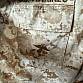 USMC blůzy marpat woodland, desert marpat