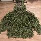 T.FORM Ghillie V14 PRO Summer Forest