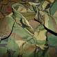 US Army PASGT WDL Woodland Vesta BODY ARMOR FRAGMENTATION PROTECTIVE VEST U.S.