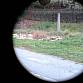 PGO9M NPZ optika tarasnice SPG9