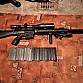 SR25 Full up DMR