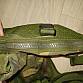 Wyvern all arms vest DPM