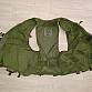 Wyvern all arms vest DPM