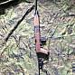 Znehodnocená  M1carbine