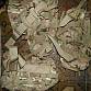 US Army MC multicam MOLLE II Waist Pack sumka ledvinka