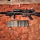 SR25 DMR