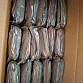 US army MRE 