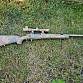 Snow Wolf M24