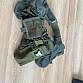 Warrior belt Tasmanian Tiger