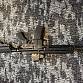 H&K 416 GBBR v3