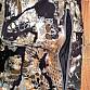 Kryptek Alaios Pant 36 R Obskura Softshell 