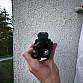 Puškohled Rhino 4X32 od Theta Optics