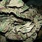 MC MULTICAM BATOH M17 ASSAULT 35L JAEGR 