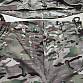 Sumrak M1 Multicam