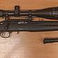Ruger American Rimfire