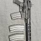 AR15 Carbine ARCTURUS