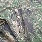 Helikon Windrunner Pencott Wildwood 