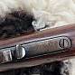 Winchester model 1873 38 cal