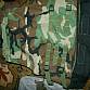 US Army WDL WOODLAND vesta IBA molle II Interceptor body armor