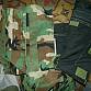 US Army WDL WOODLAND vesta IBA molle II Interceptor body armor