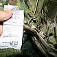 US army L6 gen 3 GEN III gore-tex extreme cold weather OCP kalhoty