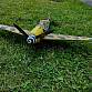 Velký model Messerschmitt Bf 109 (92 x 85 cm!) Luftwaffe LW letadlo dekorace