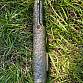 Torzo závěru Beretta 38
