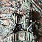 US ARMY batoh woodland