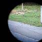 PGO9M NPZ optika tarasnice SPG9