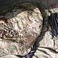 US ARMY tent stan Litefighter 1 Individual Shelter System OCP Multicam