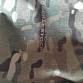 Eberlestock freefall 3000