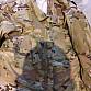Multicam komplet 