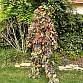 Ghillie-hnědý