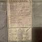 US army Pasgt vesta woodland + 6D potah 