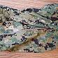USN kalhoty PCU Level 5 Block 2, AOR2, Patagonia, MR