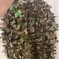 PRODÁM GHILLIE SUIT + KLOBOUK + MULTICAM KALHOTY