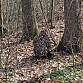 PRODÁM: Maskovací převlečník (Ghillie/Leafy suit)