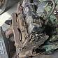 Motor F134 Hurricane Jeep M38A1 