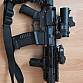 Honey badger