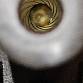 Flobert pistole ZORAKI 917-TD ,6mm, rv.16, kat. NO