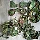 US Army woodland Molle gear, výstroj 