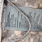 Batoh US molle II Large