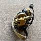 PELTOR ComTac III dual comm neckband