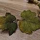 Novritsch Leaf Camo – LC1 Lime - 46 ks + piny